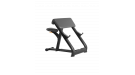 Скамья Скотта BRONZE GYM H-040A (черный)